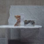 Buchstaender-Onyx-Verde-4